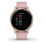 Garmin vivoactive 2025 4s dust rose