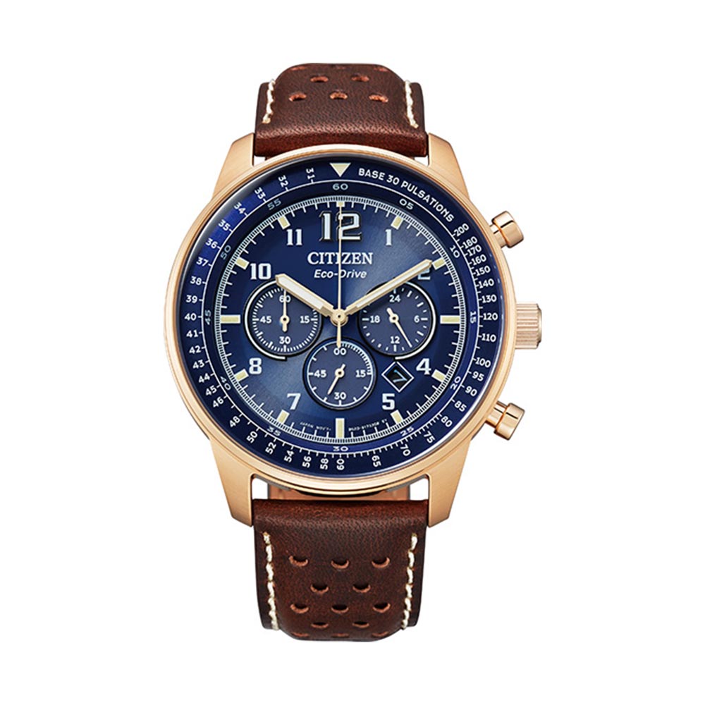 Men's citizen discount eco drive watch