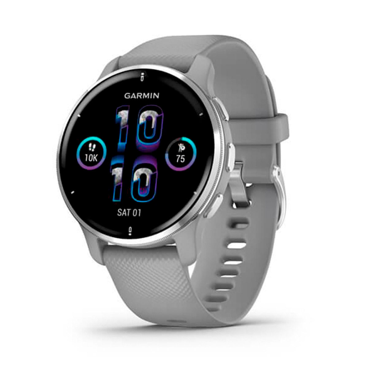 Smartwatch Garmin Venu 2 Plus GPS Powder Gray y Passivated
