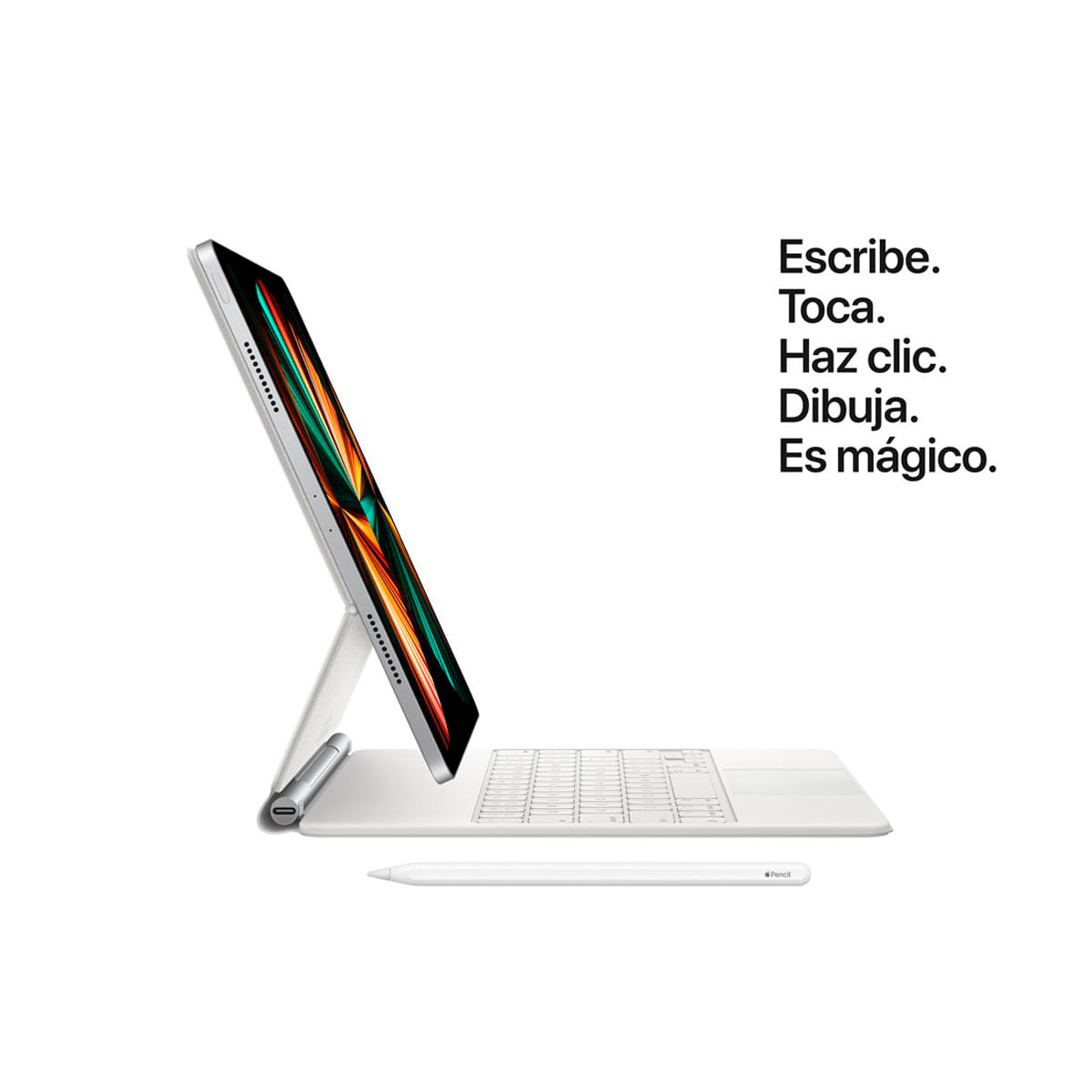 たまにゃん53iPad Pro 12.9インチ M2 256G Wi-Fi たまにゃん53様専用iPad